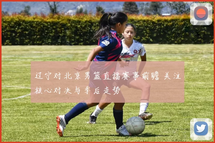 辽宁对北京男篮直播赛事前瞻 关注核心对决与季后走势