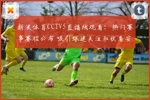 新浪体育CCTV5直播线观看：热门赛事赛程公布 吸引球迷关注和收看安排